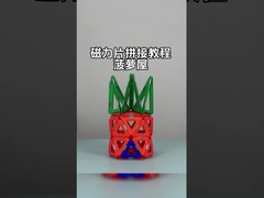 Magnetische tegels met veelzijdige vormen voor dieren en planten Ananashuis